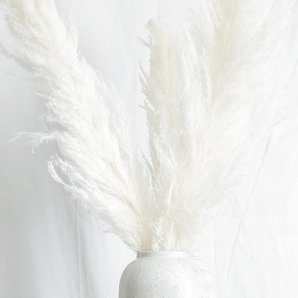 Dried Large White Boho Pampas Grass with Extension Rods - Set of 3 | Dusk & Bloom