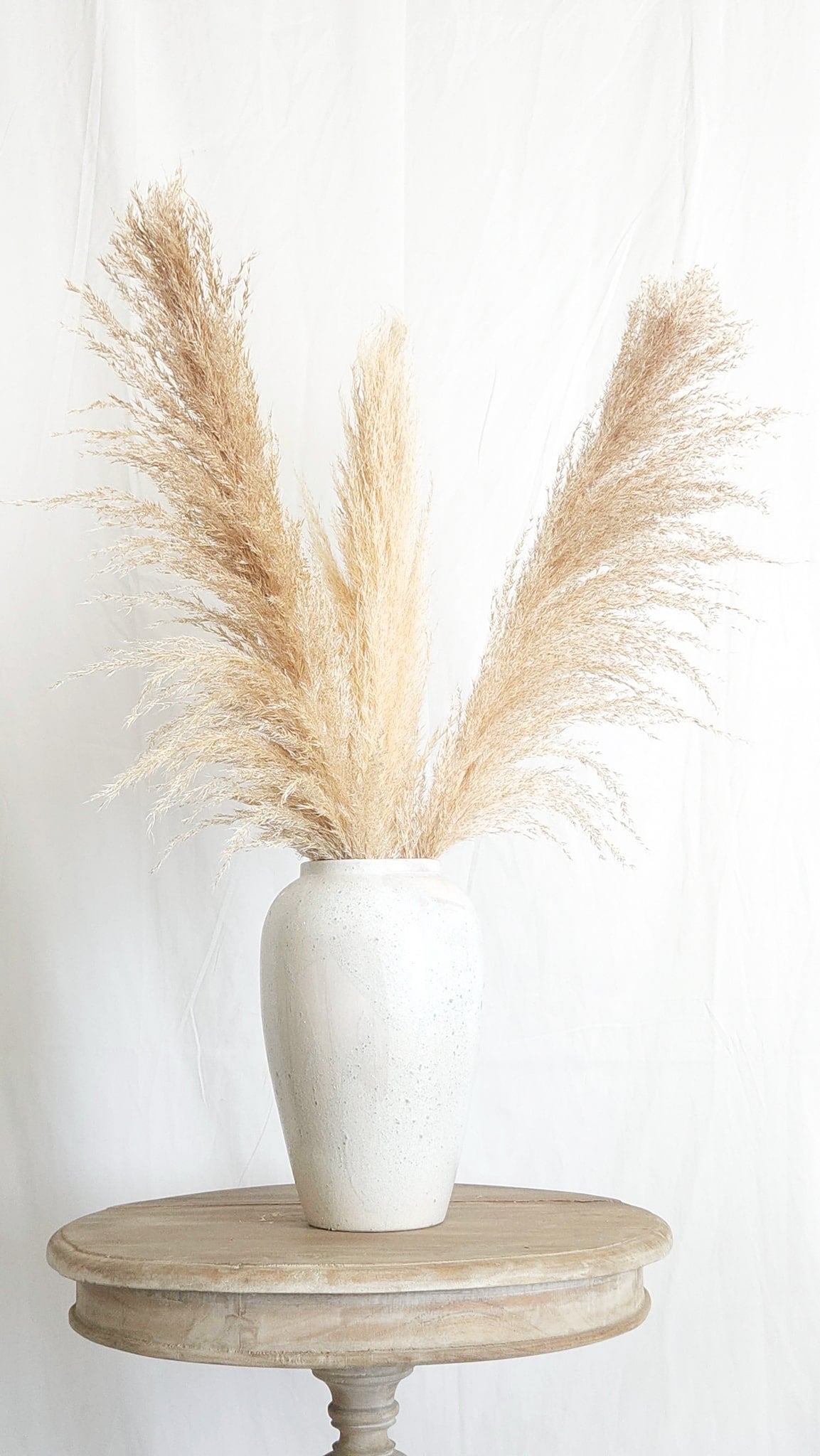 Dried Large Natural Boho Pampas Grass with Extension Rods - Set of 3 | Dusk & Bloom