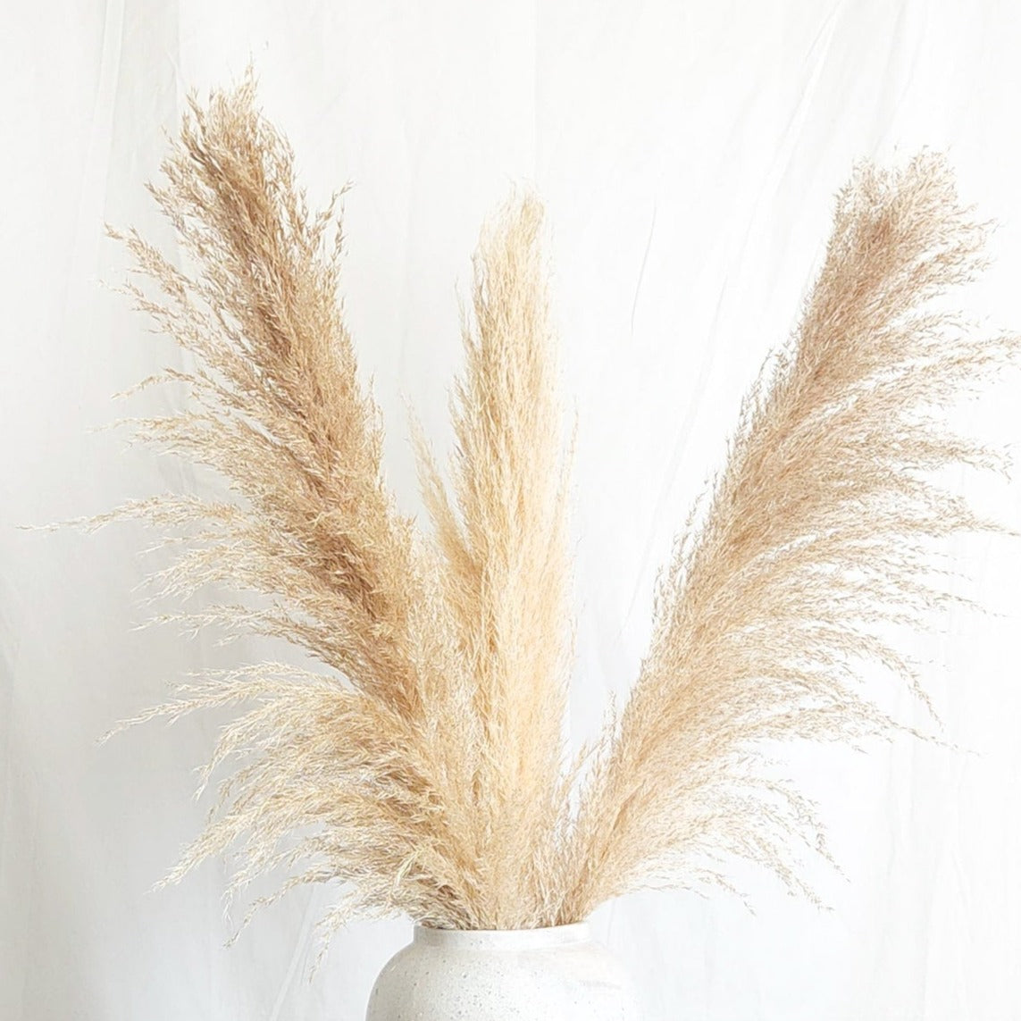 Dried Large Natural Boho Pampas Grass with Extension Rods - Set of 3 | Dusk & Bloom