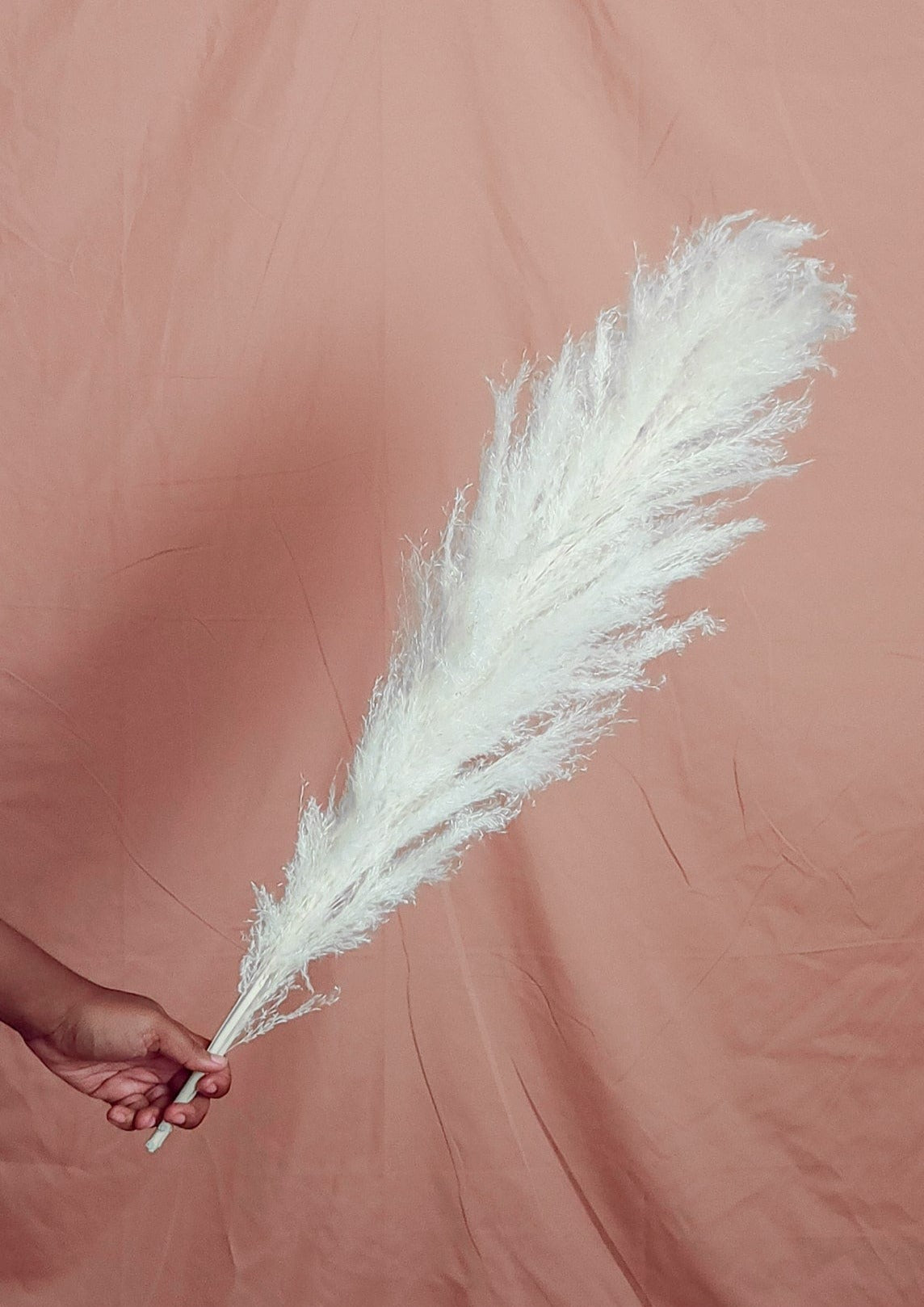 Dried Large White Boho Pampas Grass with Extension Rods - Set of 3 (Quick Ship)