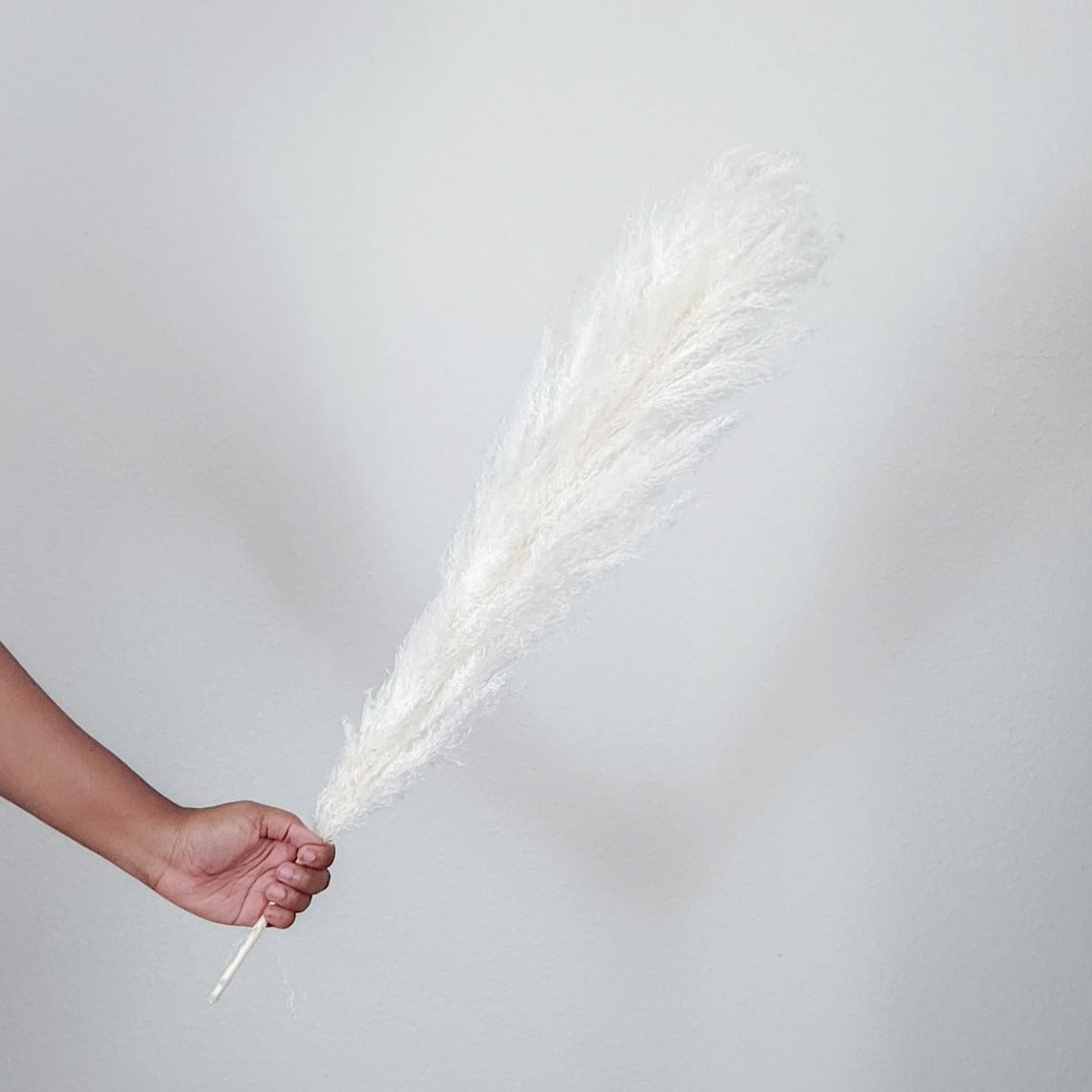 Dried Large White Boho Pampas Grass with Extension Rods - Set of 3 | Dusk & Bloom