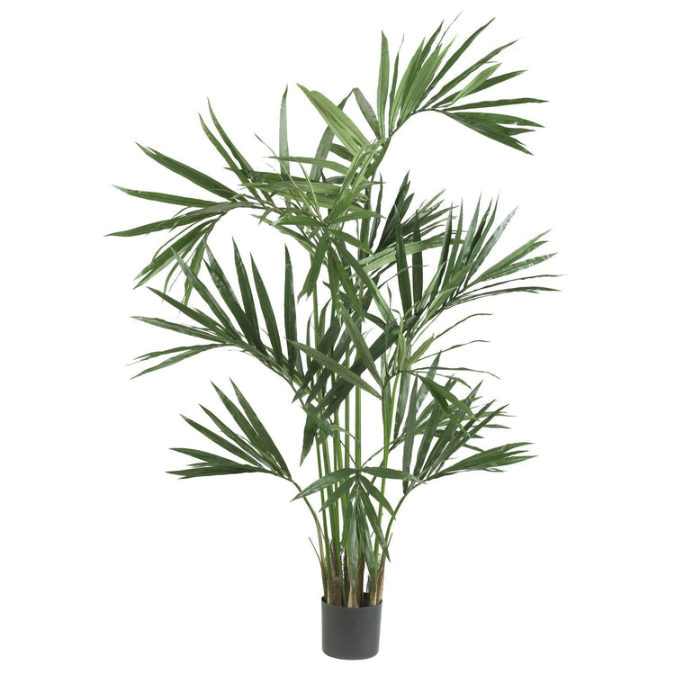 Large Artificial Palm Tree (6ft), Kentia Palm Tree | Dusk & Bloom