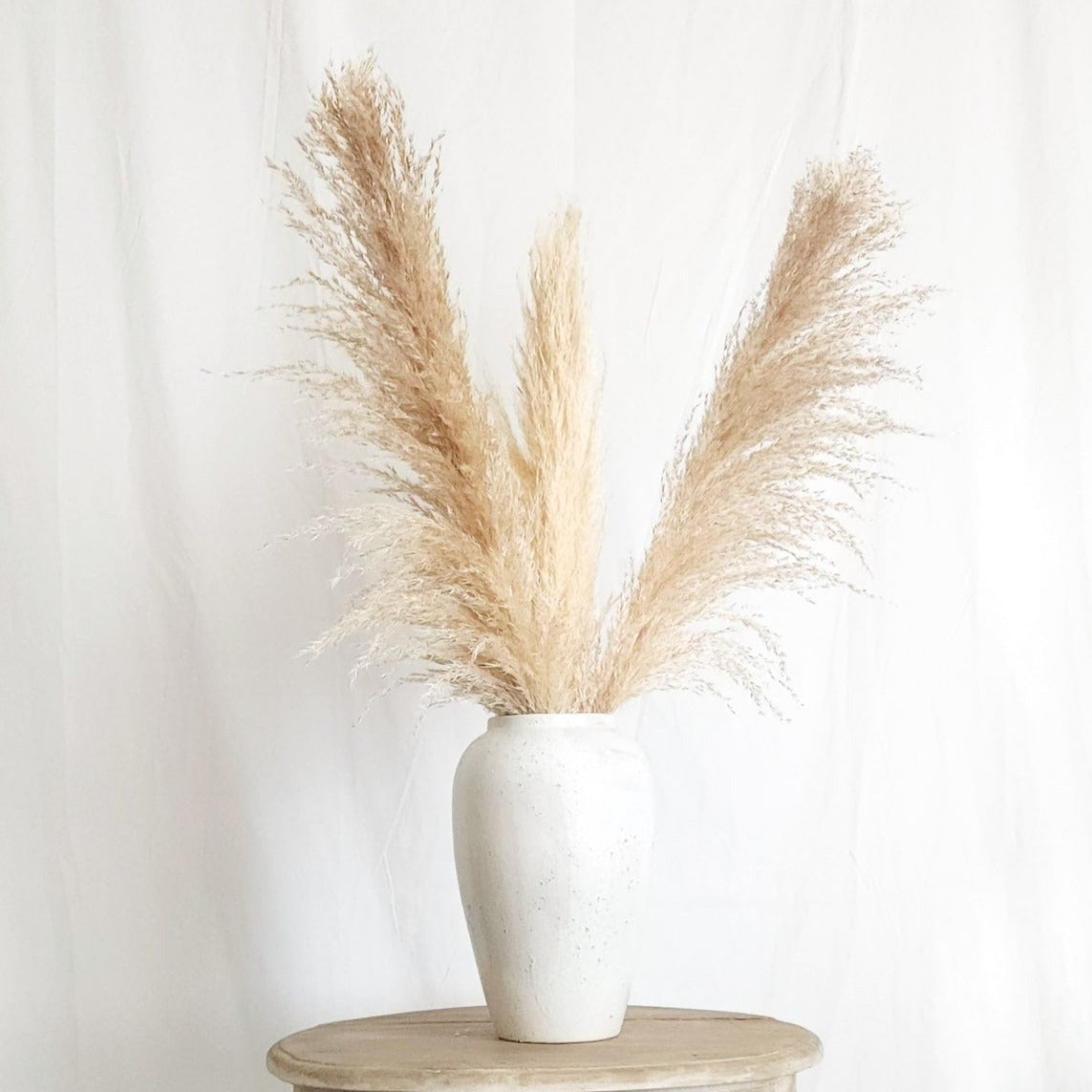 Dried Large Natural Boho Pampas Grass with Extension Rods - Set of 3 | Dusk & Bloom