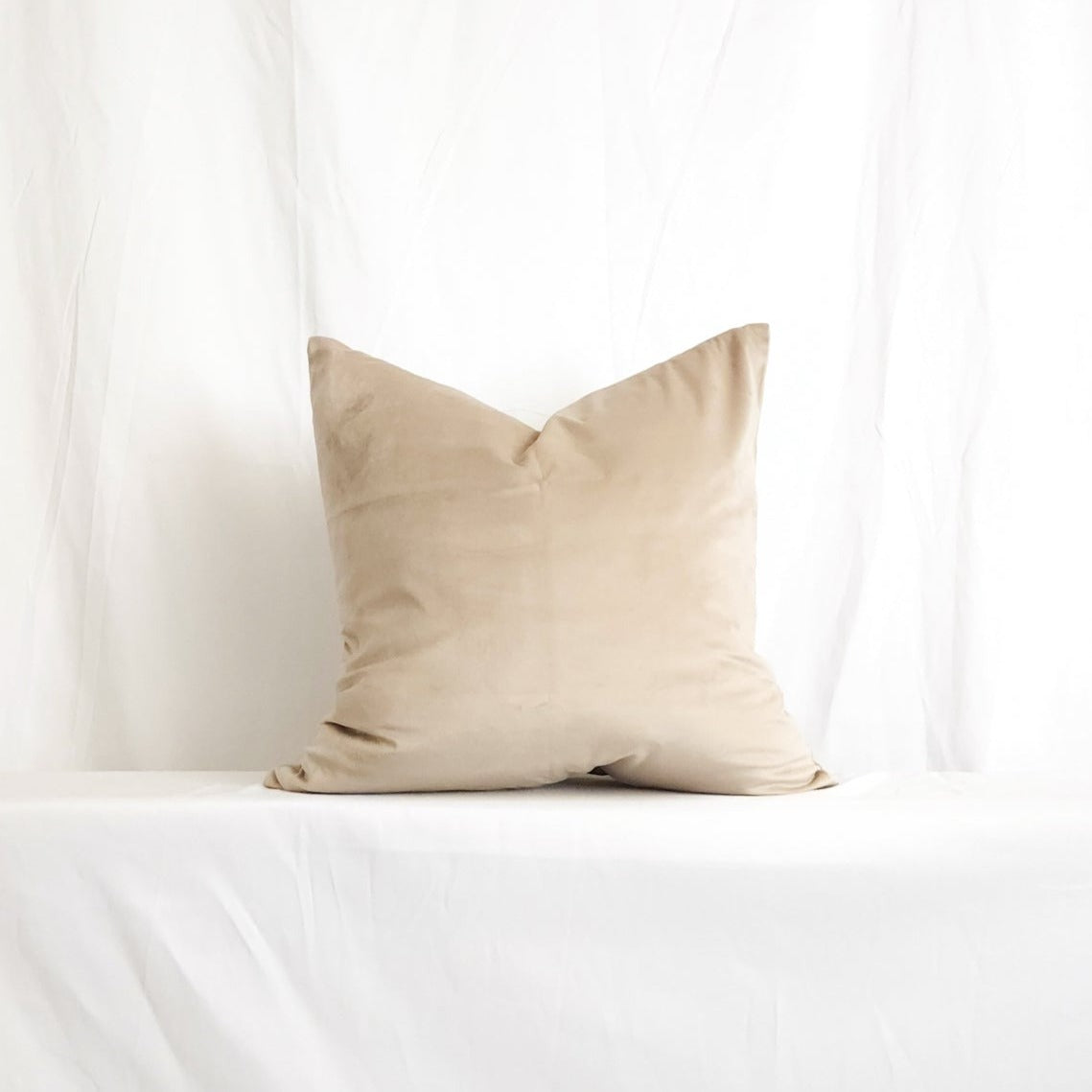Victoria II Tan Velvet 20" Pillow Cover | Dusk & Bloom