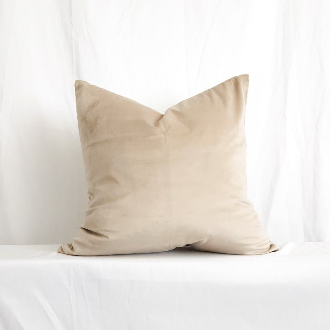 Victoria II Tan Velvet 20" Pillow Cover | Dusk & Bloom