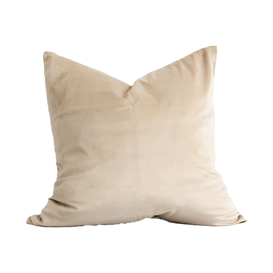 Victoria II Tan Velvet 20" Pillow Cover | Dusk & Bloom