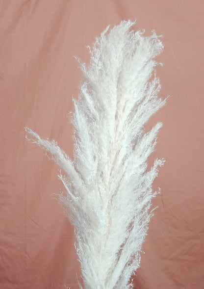 Dried Large White Boho Pampas Grass with Extension Rods - Set of 3 (Quick Ship)